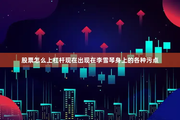 股票怎么上杠杆现在出现在李雪琴身上的各种污点