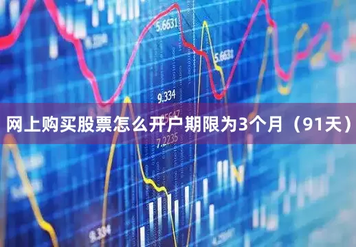 网上购买股票怎么开户期限为3个月（91天）