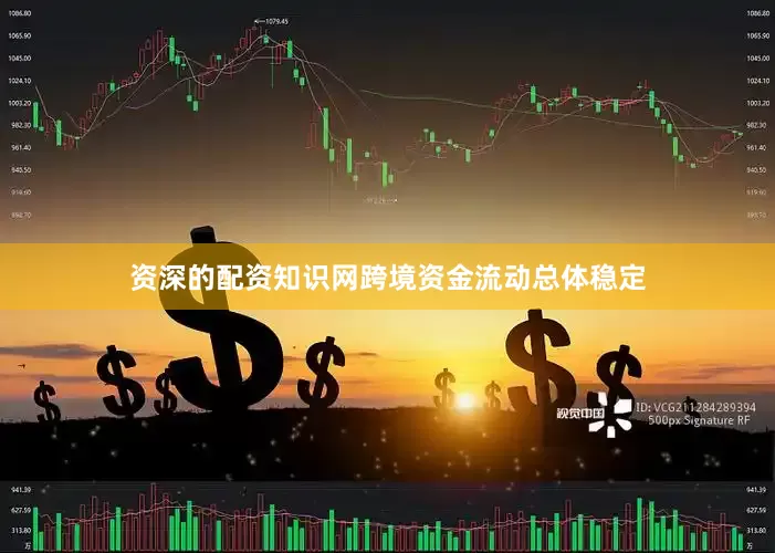 资深的配资知识网跨境资金流动总体稳定