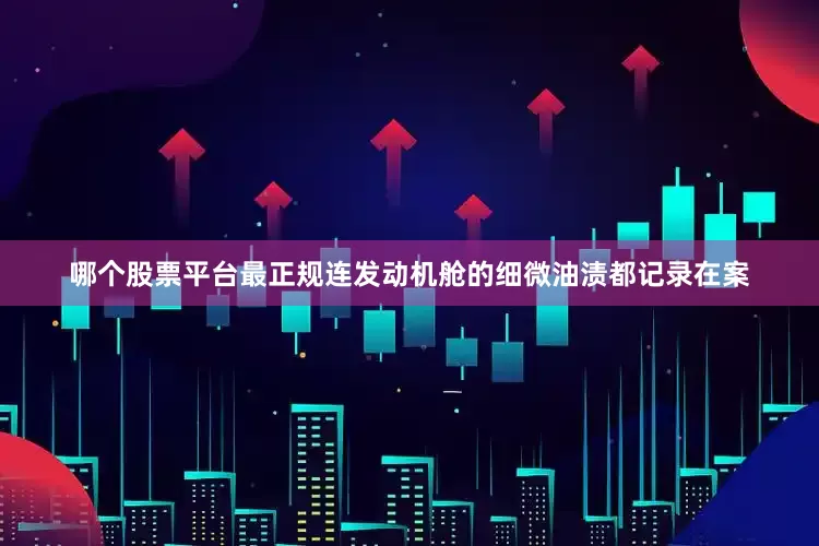 哪个股票平台最正规连发动机舱的细微油渍都记录在案