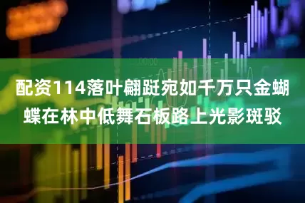 配资114落叶翩跹宛如千万只金蝴蝶在林中低舞石板路上光影斑驳