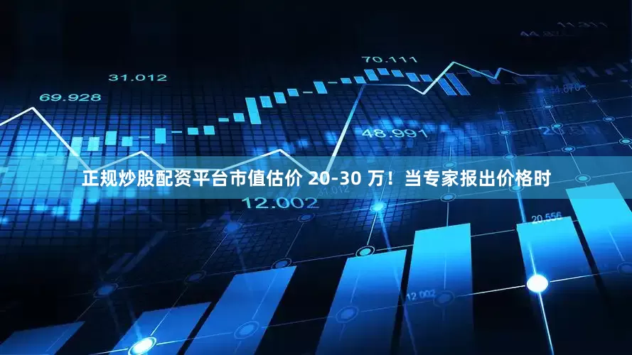 正规炒股配资平台市值估价 20-30 万！当专家报出价格时